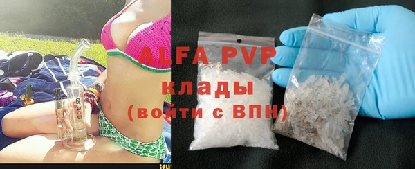 сатива Белокуриха
