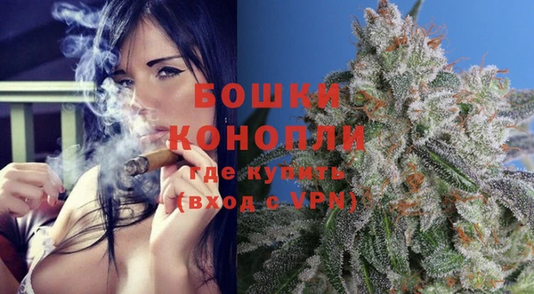 молекула духа Богородск