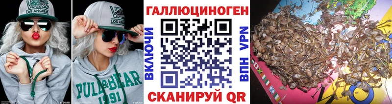 где продают наркотики  сайты даркнета клад  Псилоцибиновые грибы Cubensis  Калининец 
