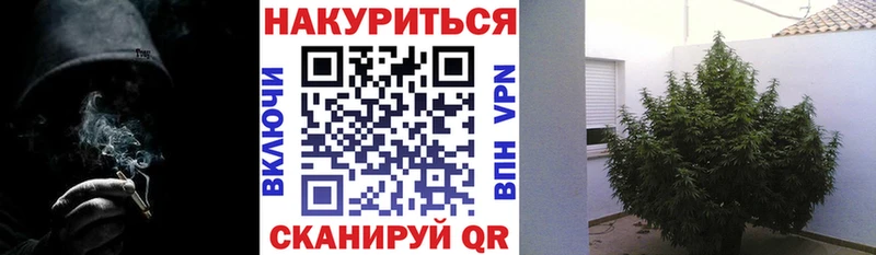 Конопля VHQ  Калининец 